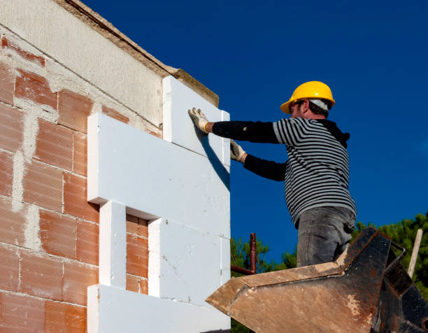Best Wall Insulation Contractor  in Springfield, NE