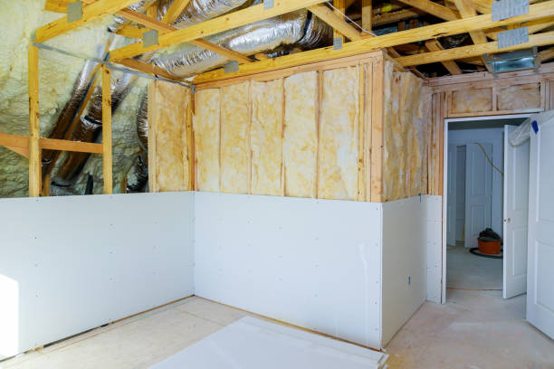 Best Local Insulation Services  in Springfield, NE