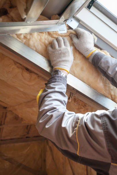 Best Best Insulation Companies  in Springfield, NE