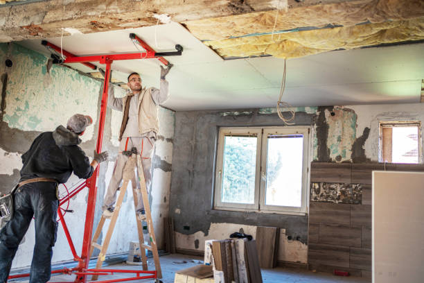 Best Attic Insulation Installation  in Springfield, NE