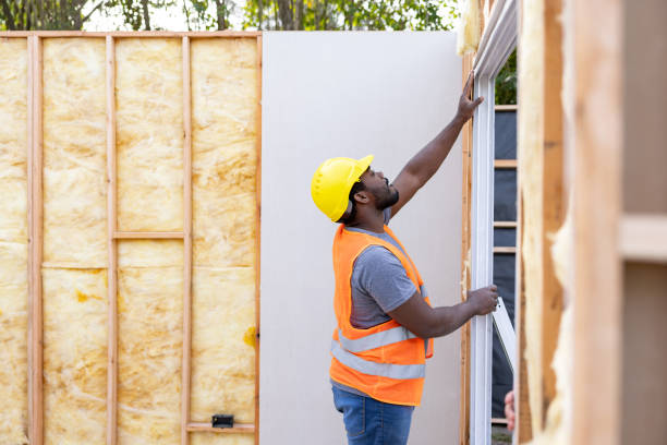 Best Spray Foam Insulation  in Springfield, NE
