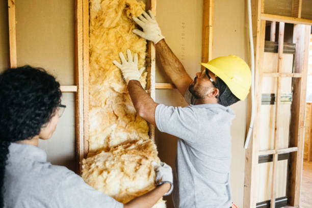 Best Soundproof Insulation Installation  in Springfield, NE