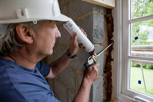 Best Insulation Repair Services  in Springfield, NE