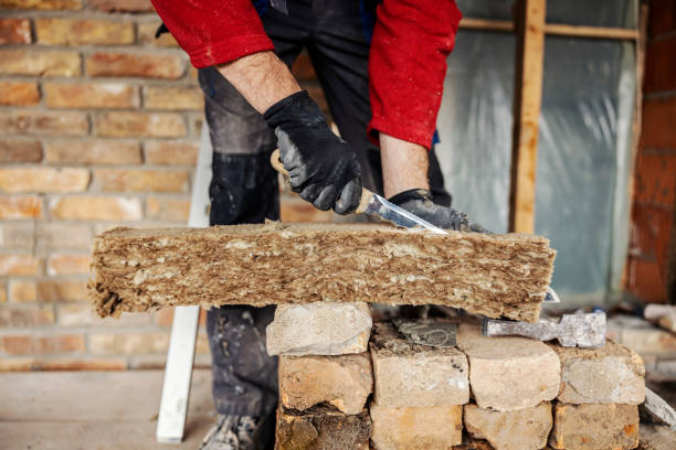 Best Cellulose Insulation  in Springfield, NE