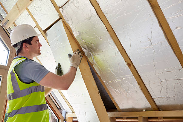 Best Spray Foam Insulation  in Springfield, NE