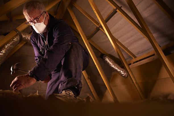 Best Residential Insulation Services  in Springfield, NE